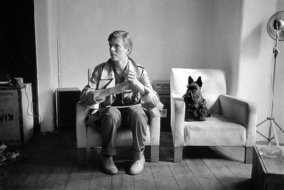 David Bowie con un perro Scottie, antes de la sesión de 'Scary monsters' (1980). La imagen forma parte de la exposición 'Bowie taken by Duffy', en Madrid.
