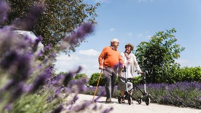 Dos ancianos pasean por un parque.