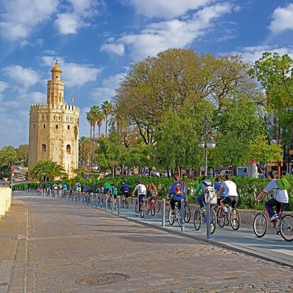 Una excursión pasea al lado de la Torre del Oro, en Sevilla.