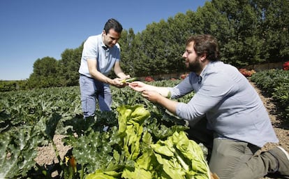 Óscar Velasco, cocinero del restaurante Santceloni (izquierda), con Roberto Cabrera en una de las huertas de este último en Carabaña.