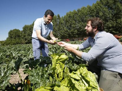 Óscar Velasco, cocinero del restaurante Santceloni (izquierda), con Roberto Cabrera en una de las huertas de este último en Carabaña.