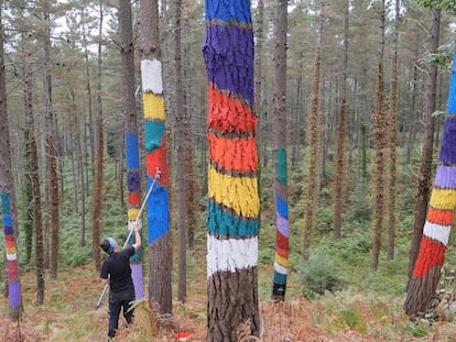 Aspecto que presenta el nuevo Bosque de Oma, en Kortezubi (Bizkaia), en pleno proceso de pintado de los pinos.