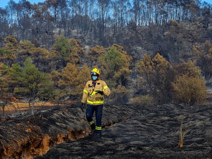 Un bombero camina por una zona calcinada por el incendio originado en Santa Coloma de Queralt (Tarragona).