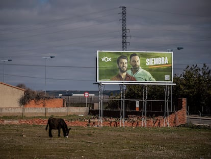 Cartel electoral de Vox en los alrededores de la ciudad de Zamora, en febrero.