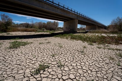 El río Muga a su paso por Peralada (Girona), este verano, afectado por la sequía.