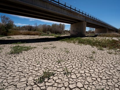 El río Muga a su paso por Peralada (Girona), presentaba durante una sequía