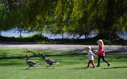 Unos niños persiguen a unos gansos en St James's Park en Londres (Reino Unido), el 29 de marzo.