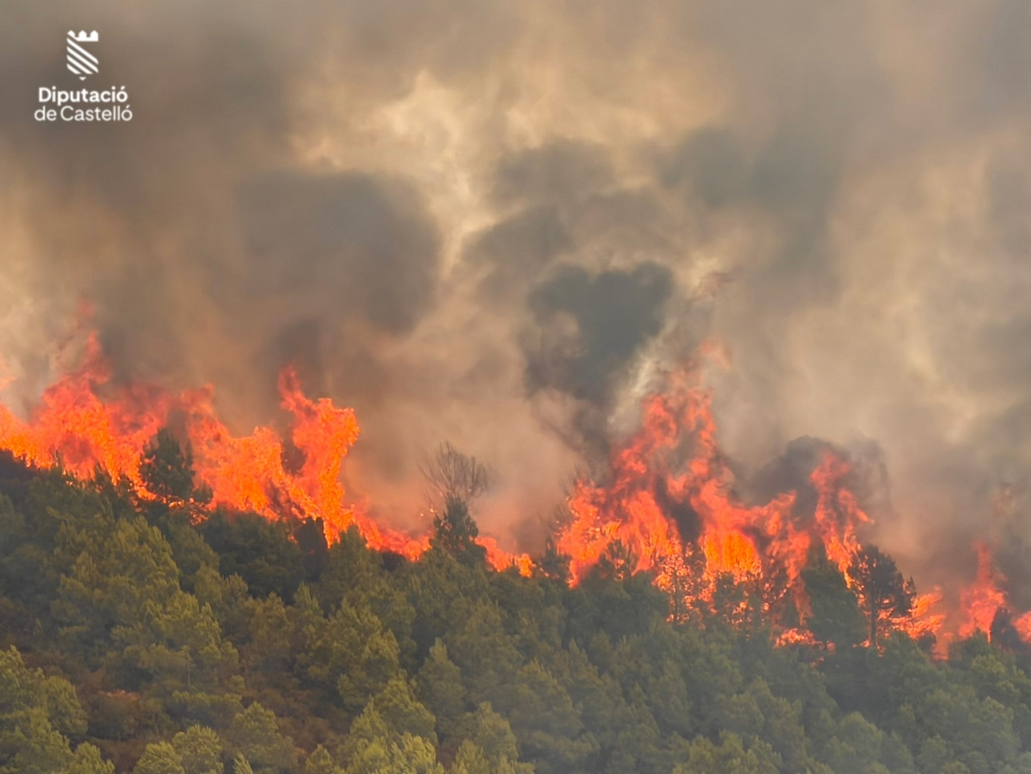 Los bomberos se afanan en que las llamas del incendio de Segorbe no alcancen el municipio de Gátova