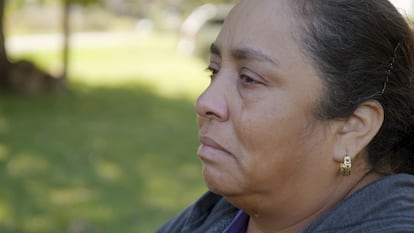 Hortencia Ramírez has been working in the fields of the United States for almost 30 years. In 2014, a plane accidentally sprayed her team with an insecticide and a fungicide. She fainted from being unable to breathe properly.