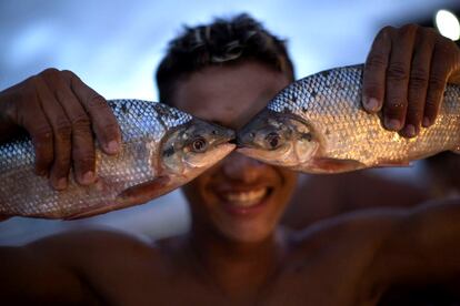 Un vendedor de pescado posa para la foto en un mercado de Manaos (Brasil). Manaos es una de las ciudades que ser sede de la Copa del Mundo de Brasil 2014.