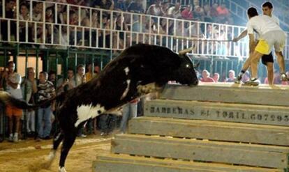 El toro 'Ratón', en las fiestas de Albal, Valencia, en 2006.
  