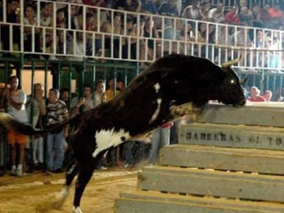 El toro 'Ratón', en las fiestas de Albal, Valencia, en 2006.
  