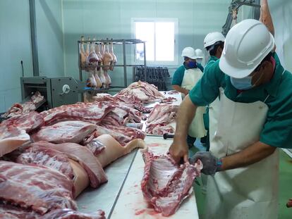 Un trabajador despieza un cerdo en una fábrica cárnica del municipio de María (Almería).