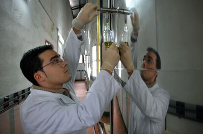 Quality control at an oilve oil plant in Ja&eacute;n.