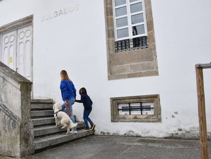 La perra 'Venus' con un menor que ha sufrido malos tratos frente a unos juzgados en Galicia.