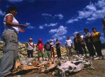 Un grupo de visitantes del parque arqueológico de Atapuerca escucha las explicaciones de una guía durante la visita al recinto.