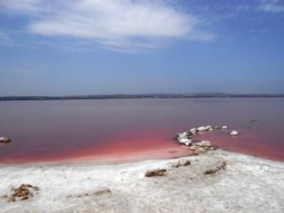 La Laguna Rosa de Torrevieja.