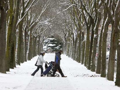 La nieve castiga a Vitoria