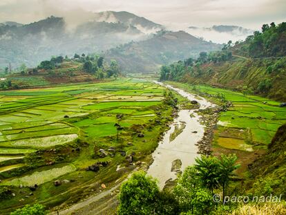 Estupas, arrozales y camioneros kamikazes en Nepal