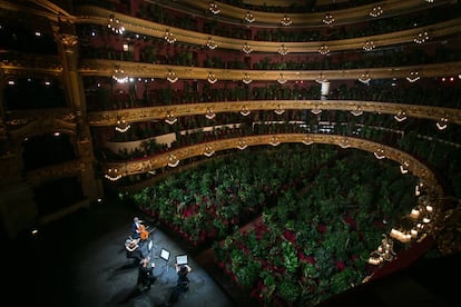 Concierto en el Liceo para un "público" formado por 2.201 plantas, que luego serán entregadas a personal del Clínico de Barcelona.