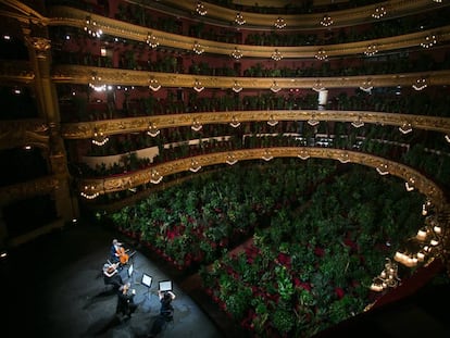 Concierto en el Liceo para un "público" formado por 2.201 plantas, que luego serán entregadas a personal del Clínico de Barcelona.