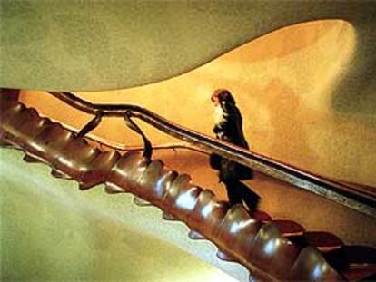 Escalera de acceso a la planta principal de la Casa Batlló, diseñada por Gaudí como si fueran las vértebras de un gran animal.
