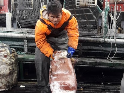 Vídeo | Muerte en alta mar: la enfermedad que mata a los marineros de la industria del calamar