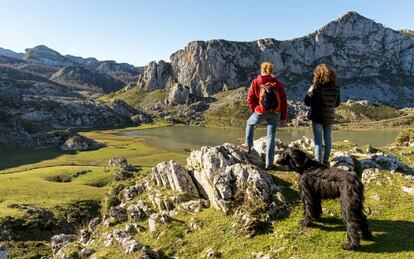 El lago Enol, uno de los lagos de Covadonga (Asturias), en el parque nacional de los Picos de Europa. 