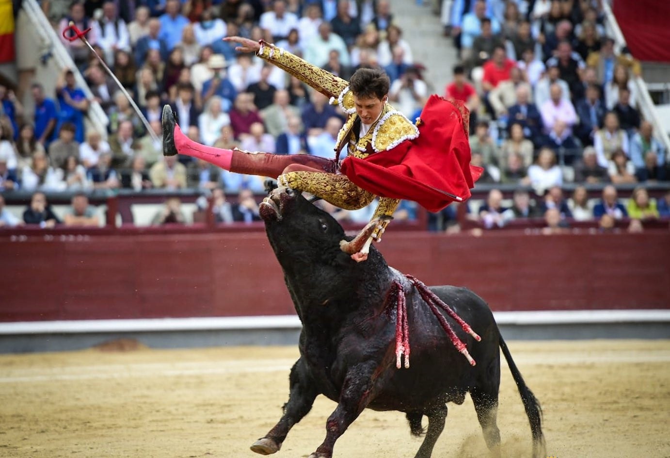 Roca Rey se juega el tipo y cae herido grave