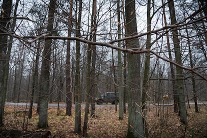 Un vehículo militar patrulla el bosque de Bialowieza.