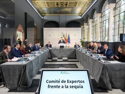 El presidente de la Junta de Andalucía, Juan Manuel Moreno, durante la tercera reunión del comité de expertos contra la sequía en el Palacio de San Telmo (Sevilla).