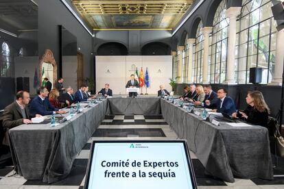 El presidente de la Junta de Andalucía, Juan Manuel Moreno, durante la tercera reunión del comité de expertos contra la sequía en el Palacio de San Telmo (Sevilla).