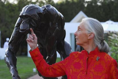 A Dra. Jane Goodall assiste à gala benéfica 'Reason For Hope' cuja arrecadação foi destinada ao Instituto Jane Goodall, em uma residência privada no 12 de agosto de 2006 em East Hampton, Nova York (EUA).