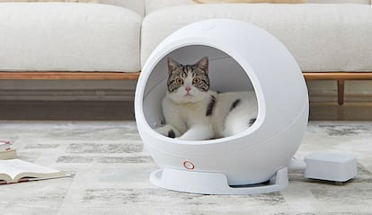 Casa inteligente para gatos.