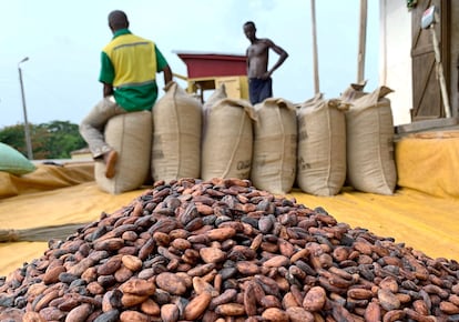 Cacao en el pueblo ghanés de Atroni, en abril de 2019.