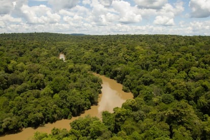 Los cursos de agua vecinos a las cataratas han sido modificados por la construcción de embalses Eso altera el ciclo hidrológico y la vida de los peces.