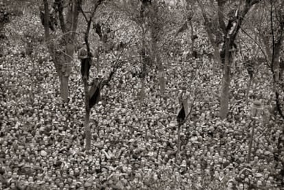 Júbilo ciudadano tras el triunfo del Frente Popular el 1 de marzo de 1936.