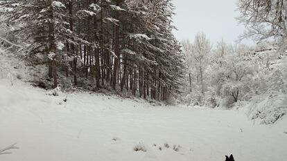 Nieve en Euskadi.
