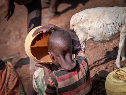 Niño bebiendo agua sucia durante la sequía en Turkana (Kenia) el 18 de febrero.