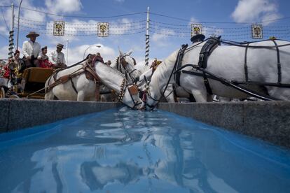 Un abrevadero de agua para los caballos, ubicado en la zona de la contraportada, da alivio a los animales que gozan de poco descanso durante estos días.