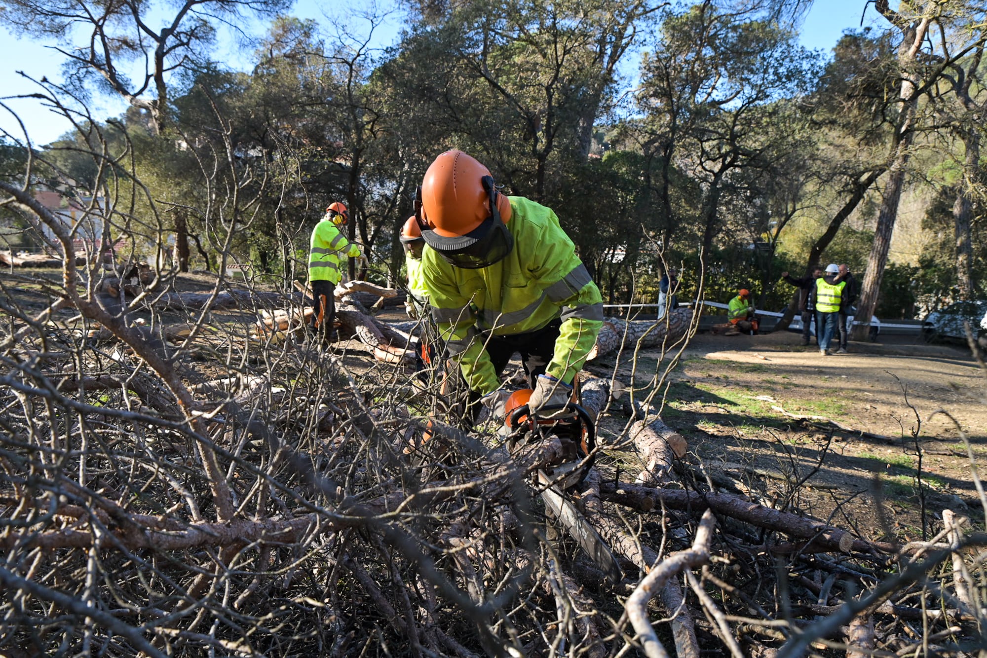 Cataluña reduce el número de incendios a pesar de la sequía