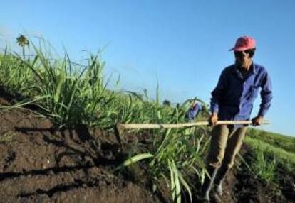 Los proyectos de irrigacin en tierras improductivas para ser vendidas en grandes lotes, superiores de 500 hectreas, tambin incidieron para el "retroceso" de esas polticas, apunt el socilogo. EFE/Archivo