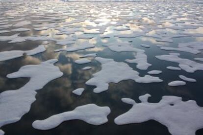 Especialistas temem as consequências do degelo no Ártico.