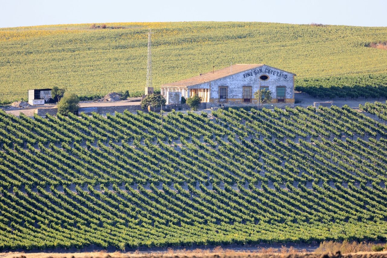 La casa de viñas de San Cayetano, en Jerez de la Frontera. 