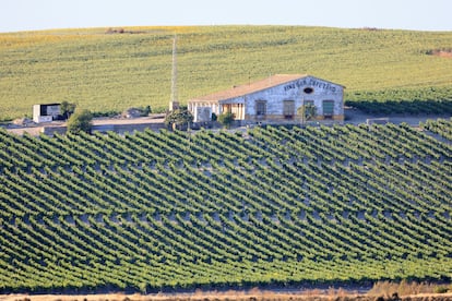 La casa de viñas de San Cayetano, en Jerez de la Frontera.