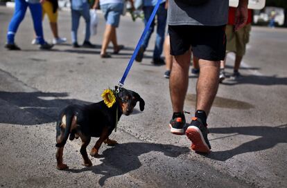 Un hombre participa con su mascota en una marcha reclamando una ley de protección para los animales en La Habana (Cuba), el 15 de abril de 2018.