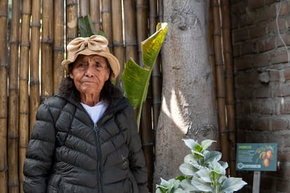 Esther Rodríguez Huamán frente al primer árbol que sembró en su casa en San Juan de Lurigancho hace más de 40 años.