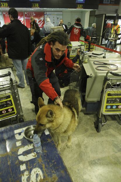 Un miembro de Bomberos Unidos da de beber a su perro en el aeropuerto de Barajas, en Madrid.