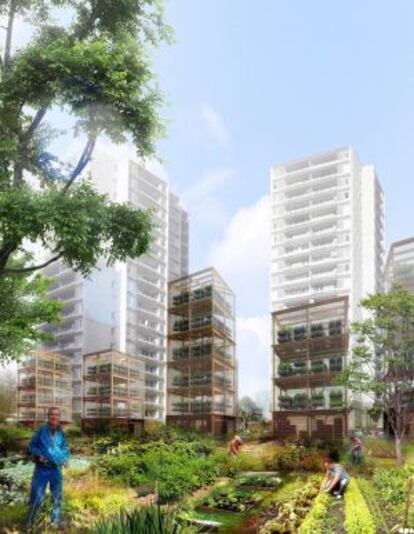 Proyecto de huertas urbanas horizontales y verticales.