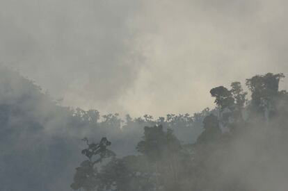 Amanecer en Camisea, Per&uacute;, con el bosque nublado.